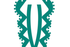 Photo of Grupo Complejidad y Salud Pública Photo of Grupo Complejidad y Salud Pública